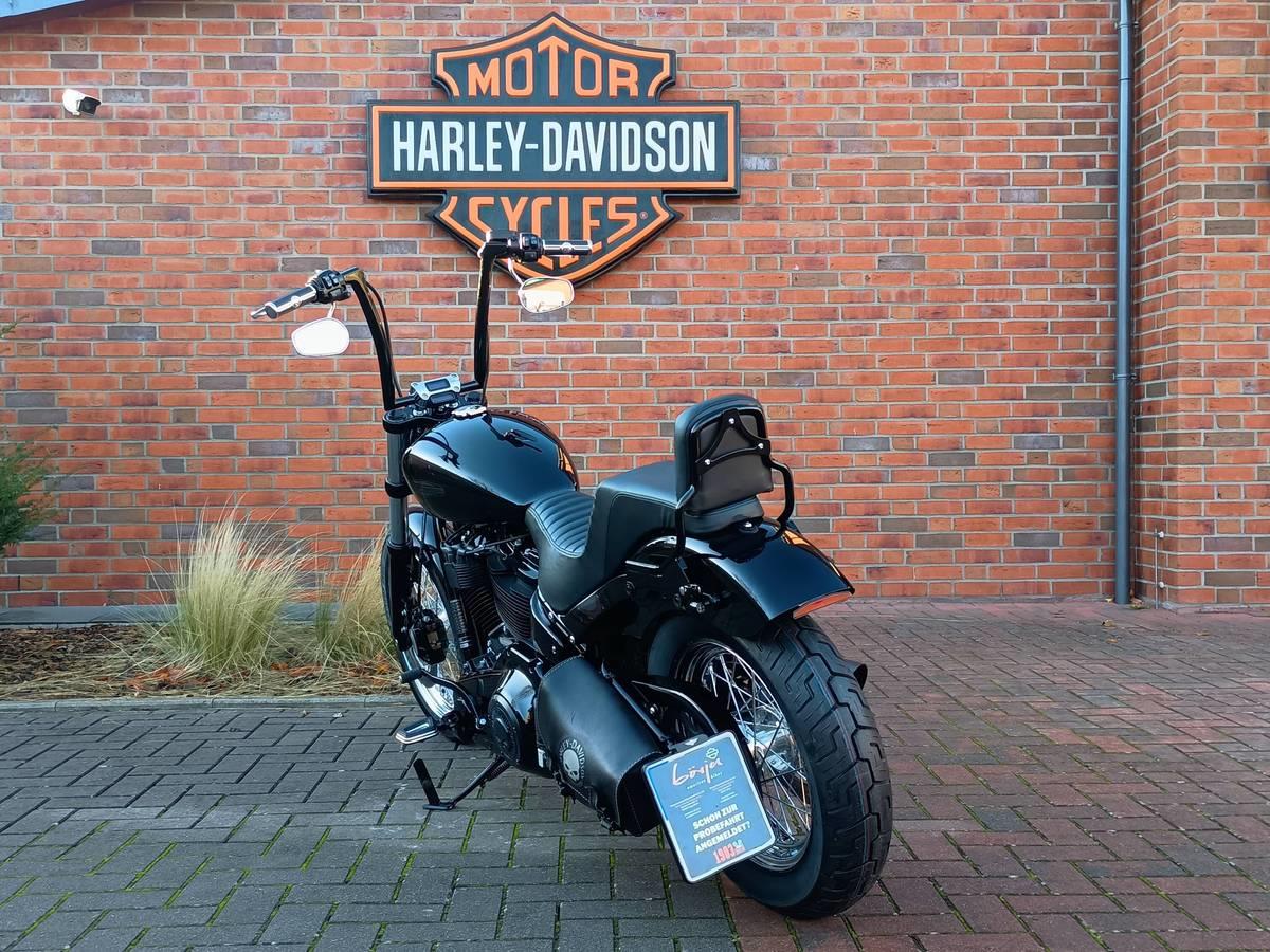 FXST Softail Standard 