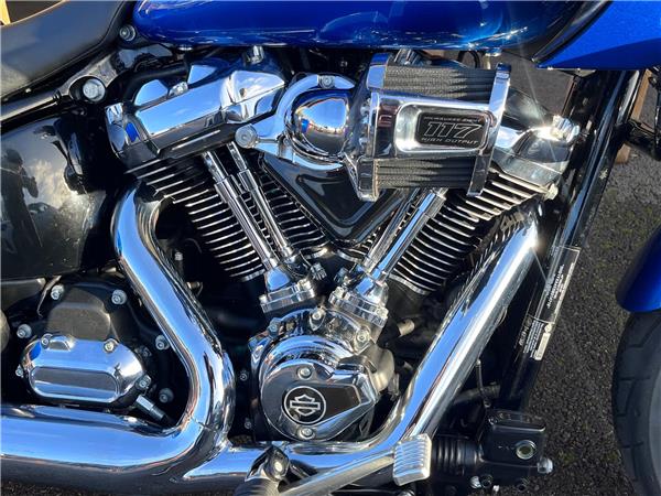 2025 Harley-Davidson Softail