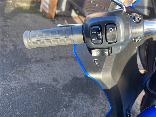 2025 Harley-Davidson Softail