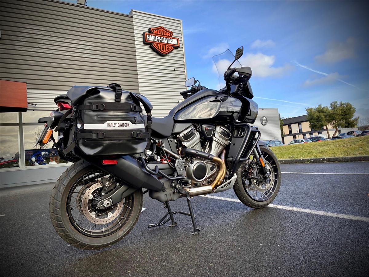 2025 HARLEY-DAVIDSON PAN AMERICA