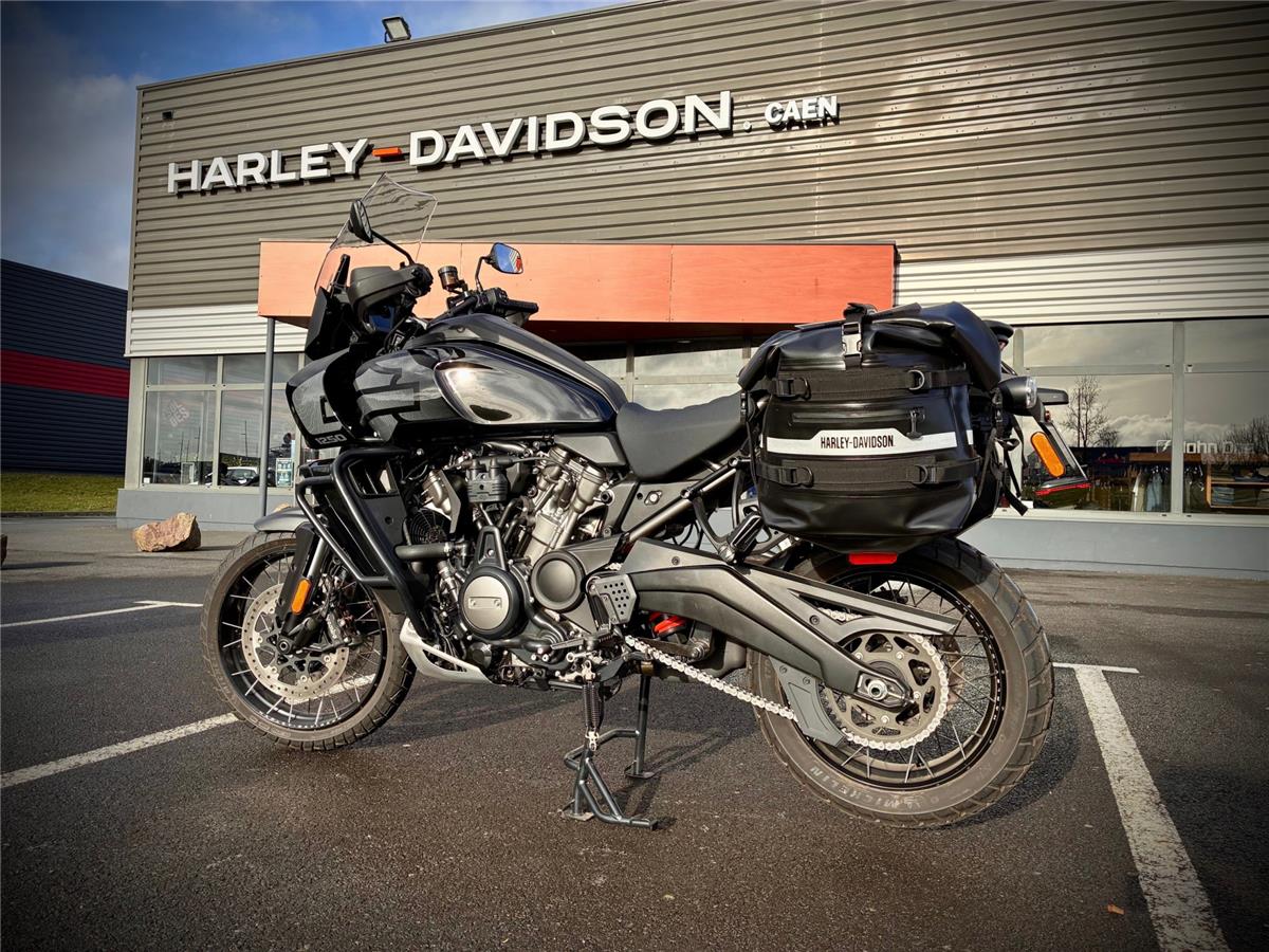 2025 HARLEY-DAVIDSON PAN AMERICA
