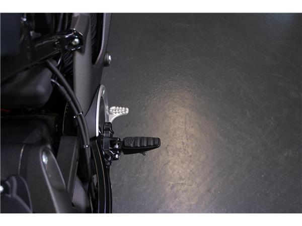 2021 harley-davidson Live Wire