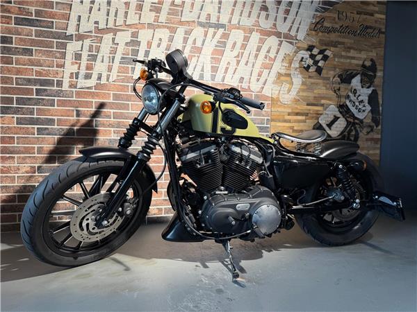 2013 harley-davidson XL 883 N Sportster Iron