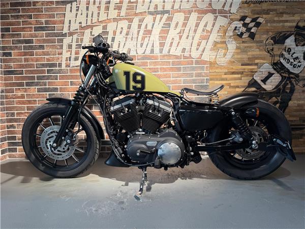 2013 harley-davidson XL 883 N Sportster Iron