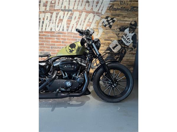 2013 harley-davidson XL 883 N Sportster Iron