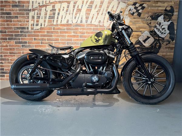 2013 harley-davidson XL 883 N Sportster Iron