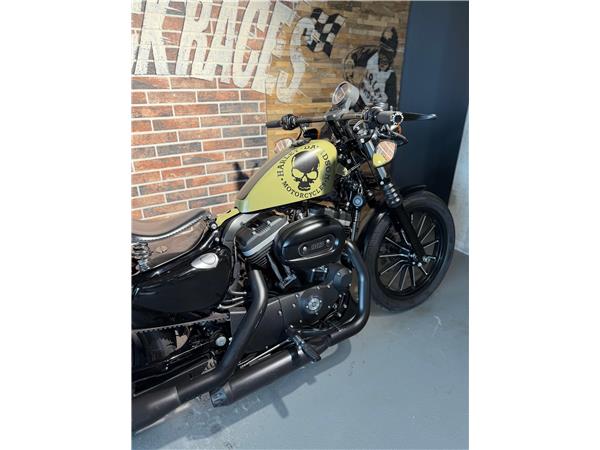 2013 harley-davidson XL 883 N Sportster Iron
