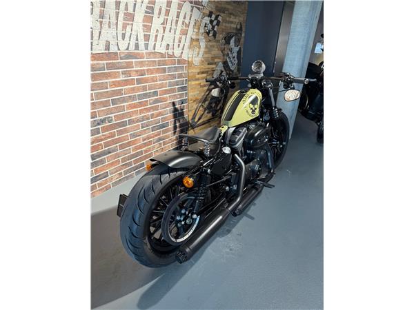 2013 harley-davidson XL 883 N Sportster Iron