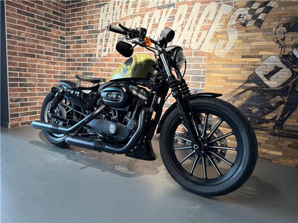 2013 harley-davidson XL 883 N Sportster Iron