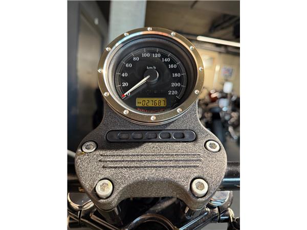 2013 harley-davidson XL 883 N Sportster Iron