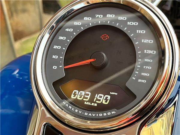 2023 Harley-Davidson Softail