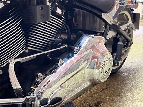 2023 Harley-Davidson Softail