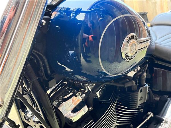 2023 Harley-Davidson Softail