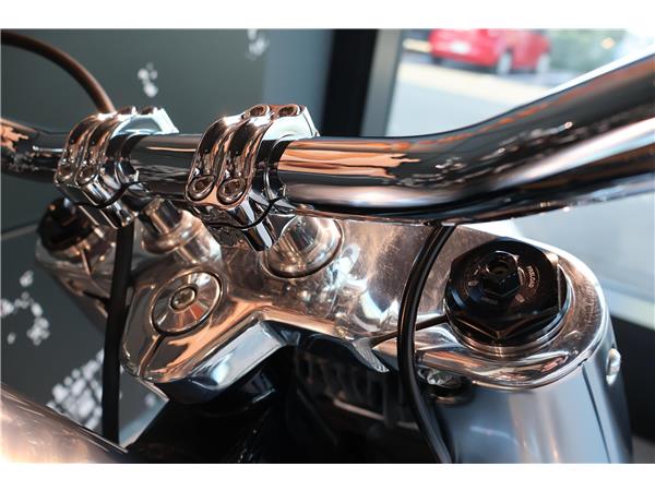 2018 harley-davidson FLFBS Fat Boy 114 ABS