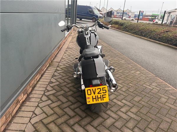 2025 HARLEY-DAVIDSON Softail