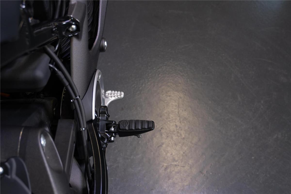 2021 harley-davidson Live Wire