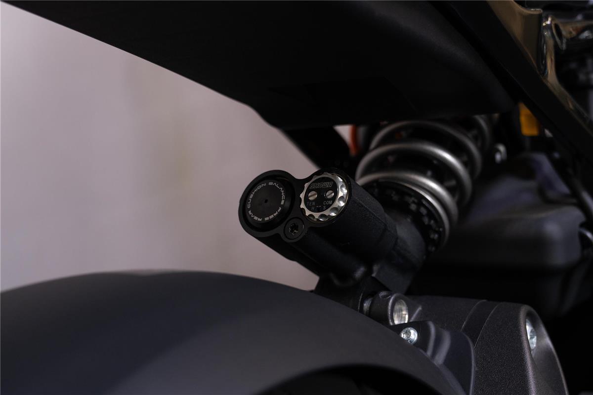 2021 harley-davidson Live Wire