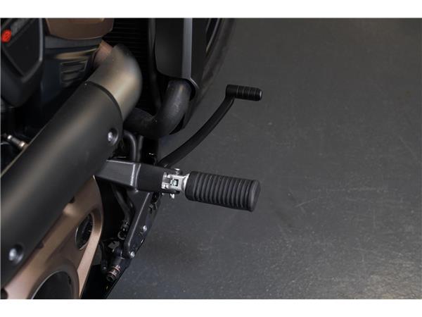 2025 harley-davidson RH 1250 Sportster S