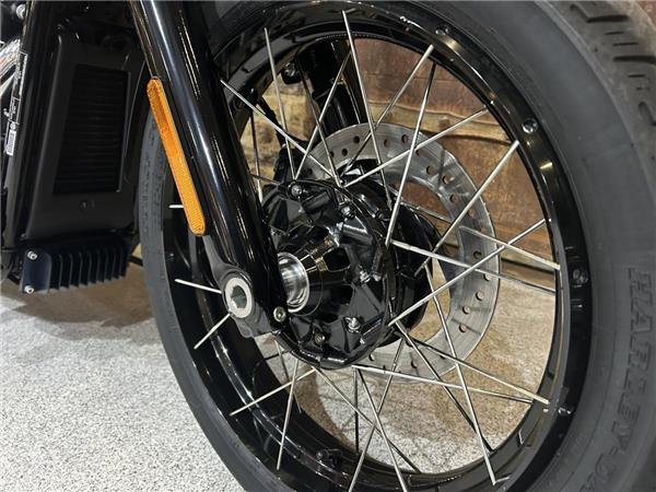 2025 Harley-Davidson Softail