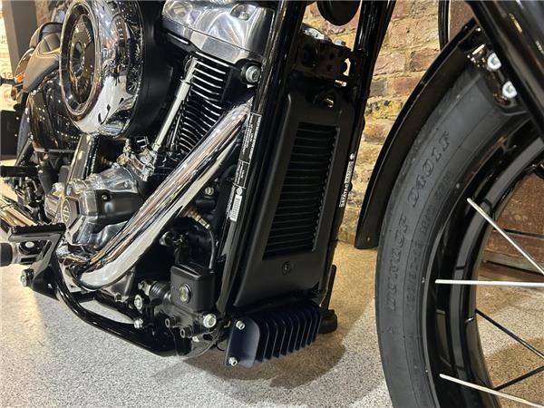 2025 Harley-Davidson Softail