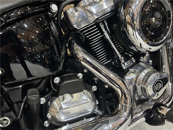 2025 Harley-Davidson Softail