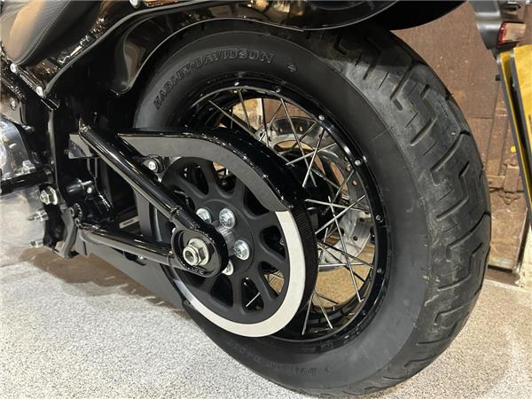 2025 Harley-Davidson Softail