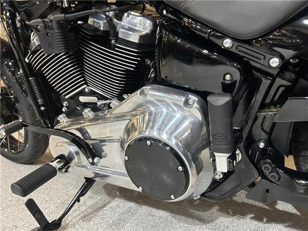 2025 Harley-Davidson Softail