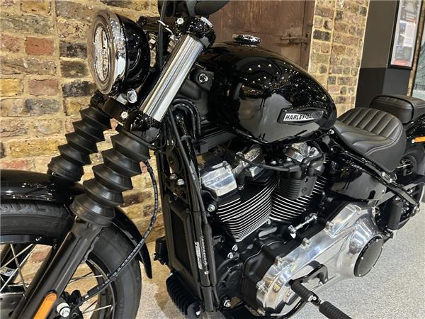 2025 Harley-Davidson Softail