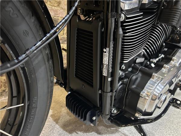 2025 Harley-Davidson Softail