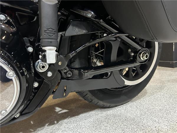 2025 Harley-Davidson Softail