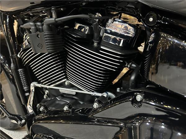 2025 Harley-Davidson Softail