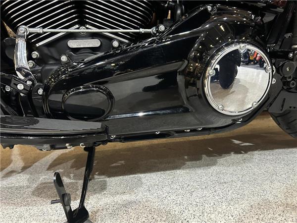 2025 Harley-Davidson Softail