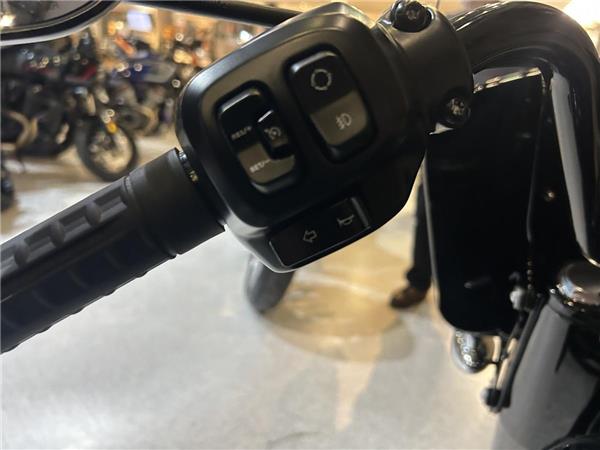 2025 Harley-Davidson Softail