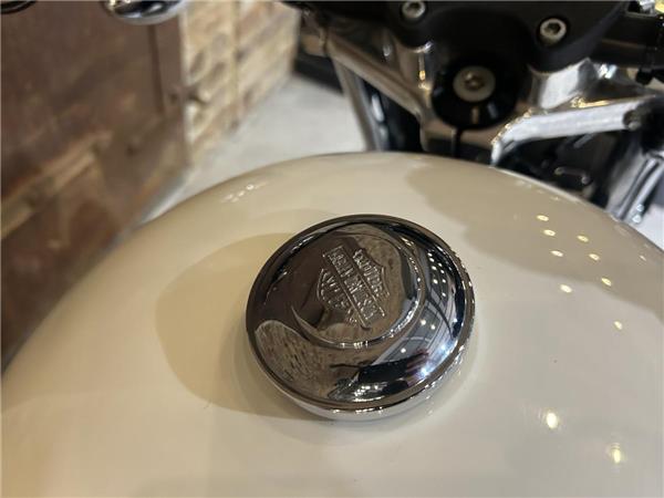 2010 Harley-Davidson Sportster