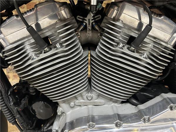 2010 Harley-Davidson Sportster