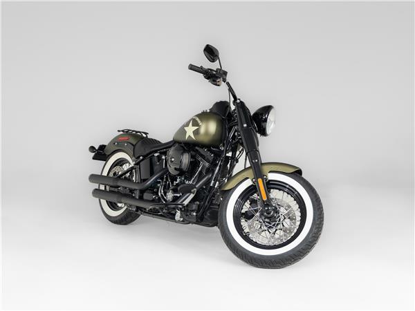 2016 Harley-Davidson FLSS 110 Slim