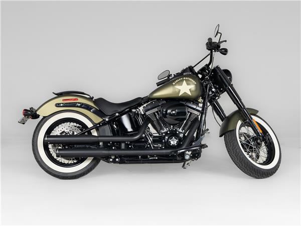 2016 Harley-Davidson FLSS 110 Slim