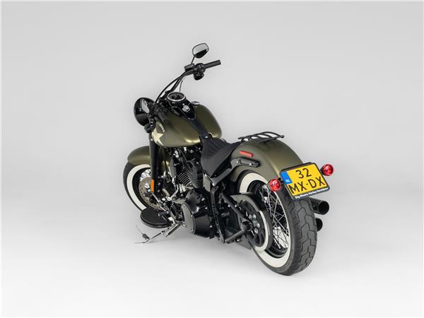 2016 Harley-Davidson FLSS 110 Slim