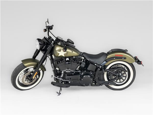 2016 Harley-Davidson FLSS 110 Slim