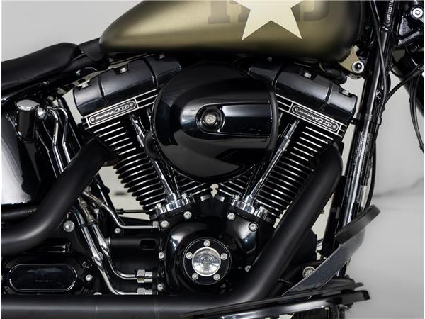 2016 Harley-Davidson FLSS 110 Slim