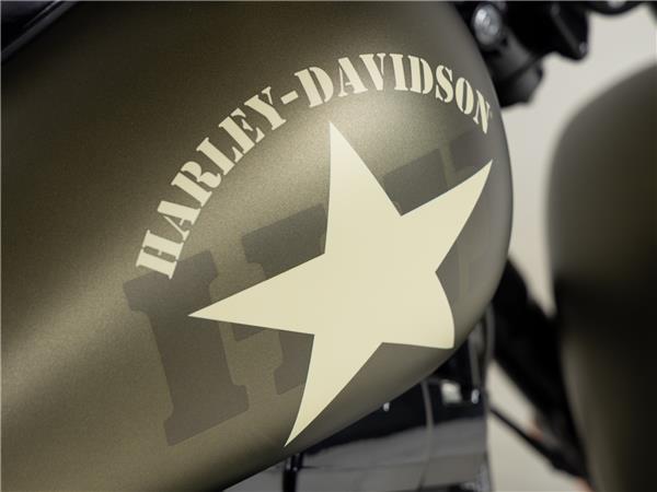 2016 Harley-Davidson FLSS 110 Slim