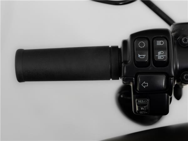 2016 Harley-Davidson FLSS 110 Slim