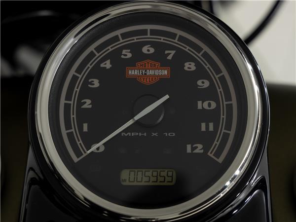 2016 Harley-Davidson FLSS 110 Slim