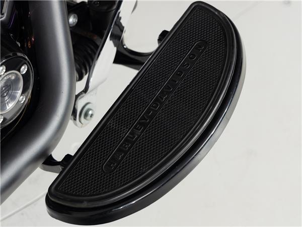 2016 Harley-Davidson FLSS 110 Slim