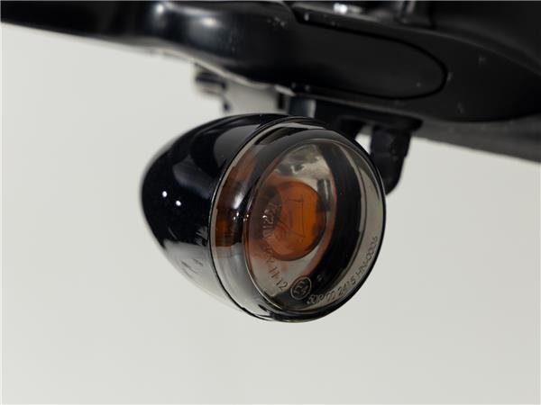 2016 Harley-Davidson FLSS 110 Slim