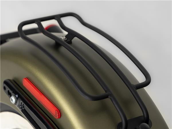 2016 Harley-Davidson FLSS 110 Slim