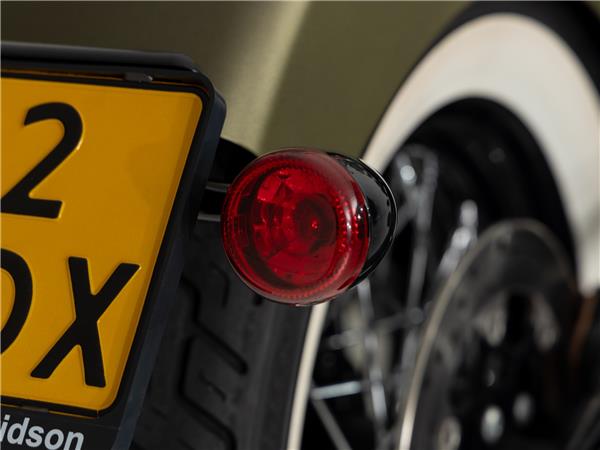 2016 Harley-Davidson FLSS 110 Slim