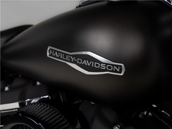 2020 Harley-Davidson FLSB Sport Glide Solid Color