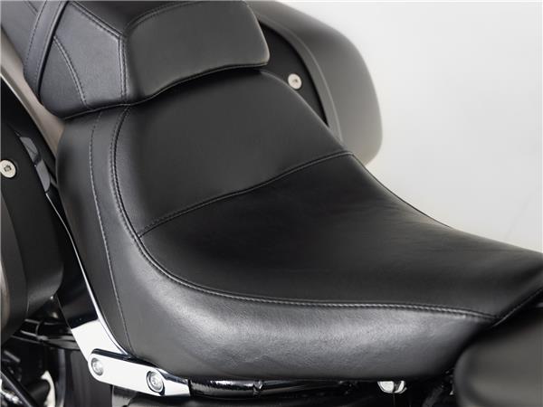 2020 Harley-Davidson FLSB Sport Glide Solid Color