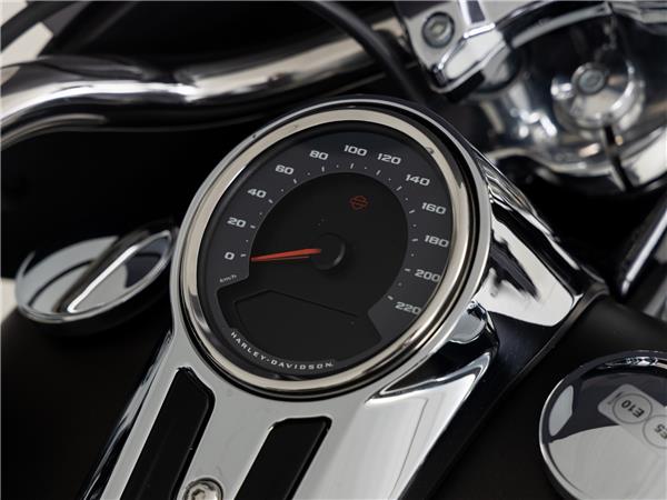 2020 Harley-Davidson FLSB Sport Glide Solid Color